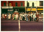 a sense of spadina walking tour august 16 2009